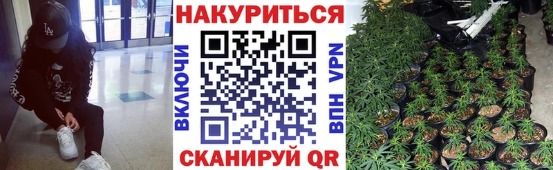 Купить где  Судак  Бошки марихуана план 